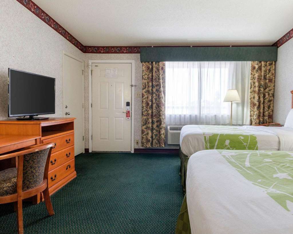 Lone Star Inn Lubbock Rum bild